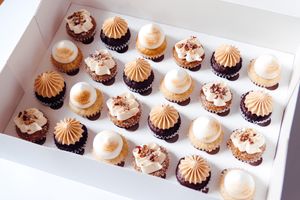  at Plants Food Mind - Pre-order in Lampertheim