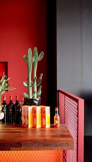 Interior  at Roll Tide - 롤타이드  in Jeju