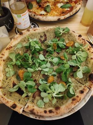 Zohan at Radius in Linz