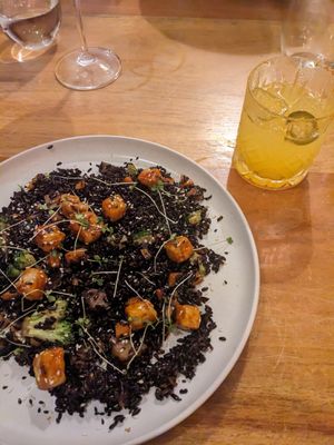  at Döbo - Dino in Boquete