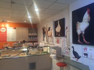 New Interior design at Fennel Organic Eatery in Toronto