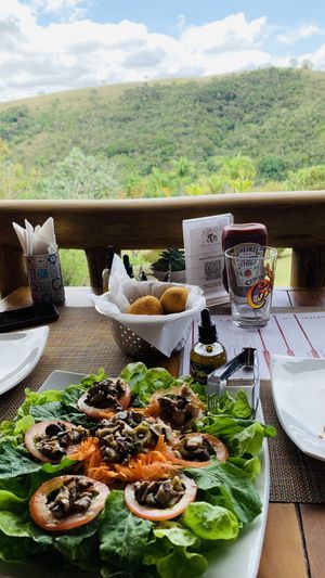   at Fruto da Serra Shiitake in Cunha