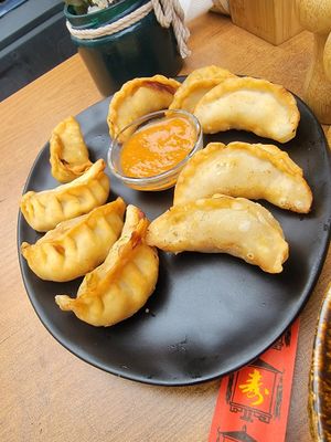 Fried dumplings at Asian Vegan Kitchen in Istanbul
