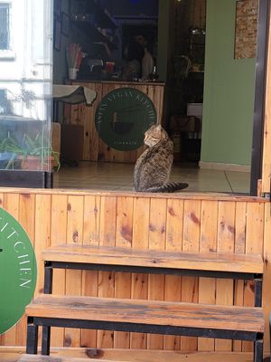  at Asian Vegan Kitchen in Istanbul