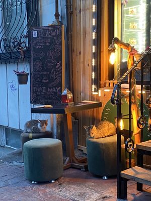   at Asian Vegan Kitchen in Istanbul