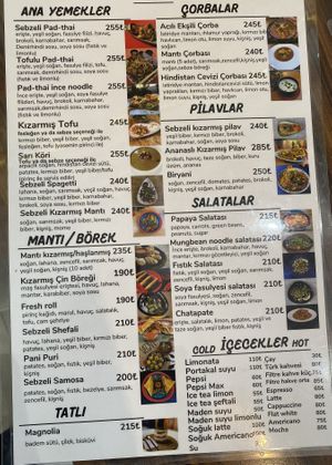   at Asian Vegan Kitchen in Istanbul