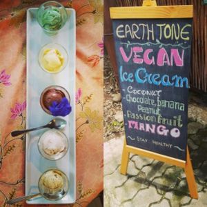 amazing vegan ice cream! made the good ol' fashion way at Earth Tone in Pai