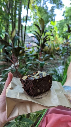 Chocolate brownie at Earth Tone in Pai