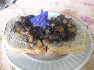 Wild Mushroom toast  at Earth Tone in Pai