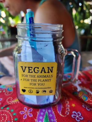 Vegan at Earth Tone in Pai