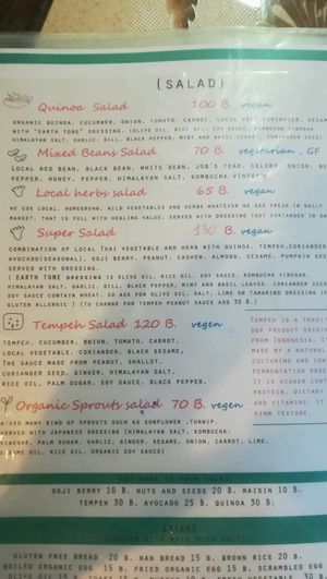 salad menu at Earth Tone in Pai