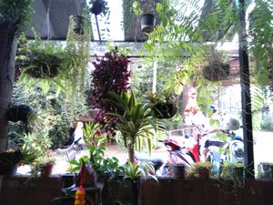 The view at Earth Tone in Pai