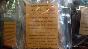 Mushroom tea at Earth Tone in Pai