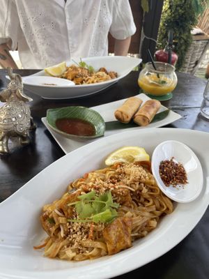 Pad Thai with tofu and spring rolls  at SA•WAD•DEE in Gran Canaria