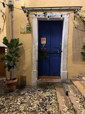 Closed 7:00 PM   at The Food Temple in Lisbon