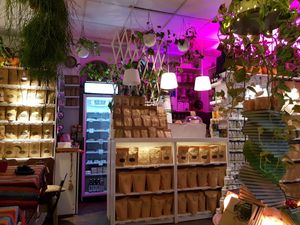 Great café at Bliss Cafe in Stockholm