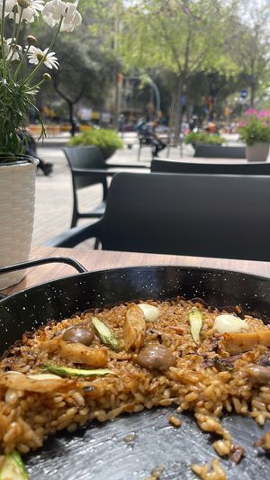   at Wild Food in Barcelona