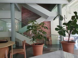 Interior at Wild Food in Barcelona