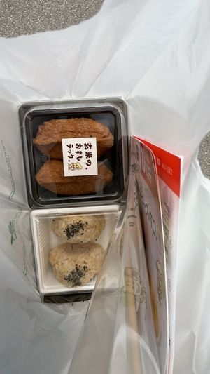   at Brown Rice Sushi TEC 玄米のおすしテック in Osaka