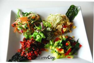 organic raw salad plate including carrot,betroot&coriander/ pineapple.capsicum&mint/corn&cauliflower/kale coleslaw at Raw on Rye in Rye