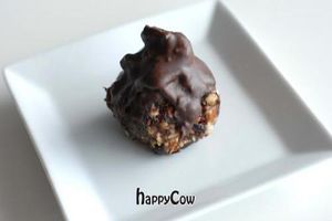 raw chocolate fudge ball at Raw on Rye in Rye