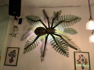 My wife hates spiders, but she got over it when she tasted the food. at Viva Chapata in Madrid