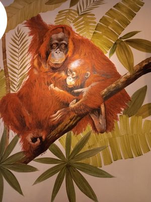  at Viva Chapata in Madrid