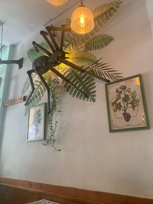  at Viva Chapata in Madrid