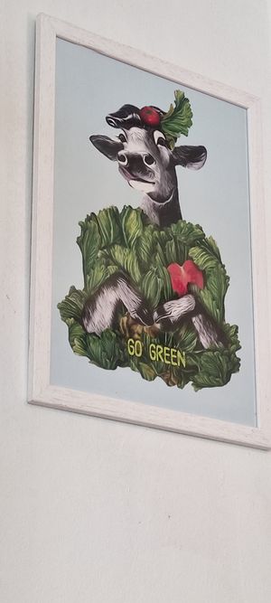  at Viva Chapata in Madrid