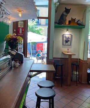  at Viva Chapata in Madrid