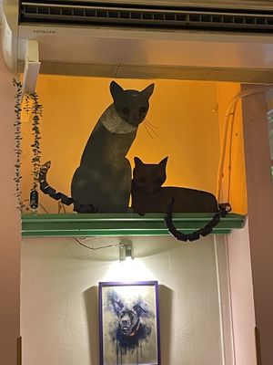 Miaow  at Viva Chapata in Madrid