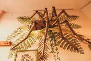 interior at Viva Chapata in Madrid