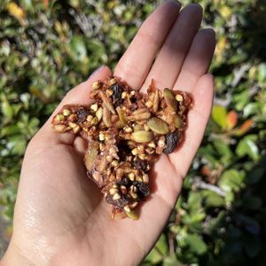raw buckwheat granola - cinnamon date crunch  at Tracy's REAL Foods in San Diego