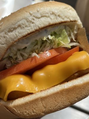 Fish burger   at Nice Burger in Irvine