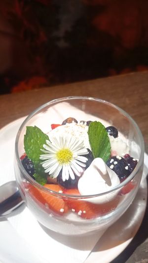 Cremita de coco orgánico at Pak'al Fresh in Valladolid