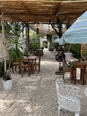   at Pak'al Fresh in Valladolid