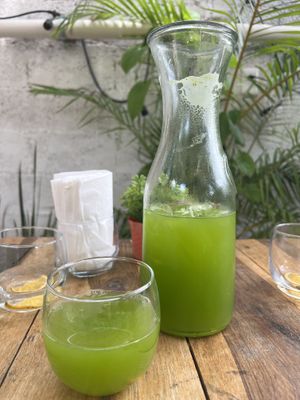   at Pak'al Fresh in Valladolid