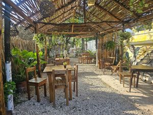 Gardin at Pak'al Fresh in Valladolid