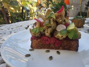 Vegan Toast with Beet Hummus and Poc Chuk made with cauliflower. at Pak'al Fresh in Valladolid