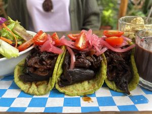 Mushroom tacos   at Pak'al Fresh in Valladolid