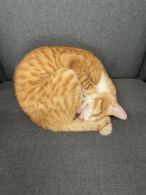   at H Hotel El Nido in El Nido