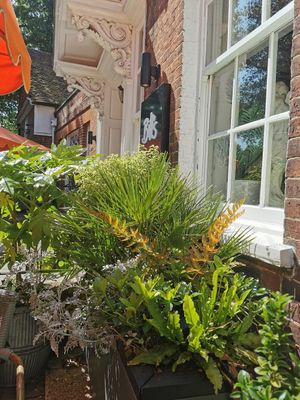  at Bill's in Reading