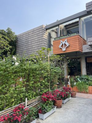  #Veganuary at Kynd Kulture in Bangkok