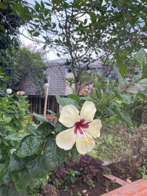   at Kynd Kulture in Bangkok