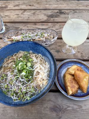 vegan noodle soup with tofu, tofu gyoza and lemonadee  at Shima in Aarhus