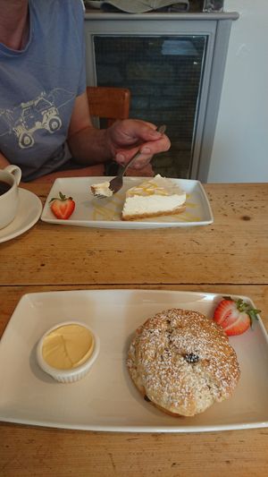 Huge, fluffy vegan fruit scone (and partner's non-vegan cheesecake) at Nosh in Pickering