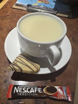   at Catapilcana Vegana in Santiago