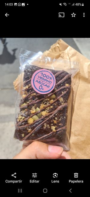 brownie at Catapilcana Vegana in Santiago