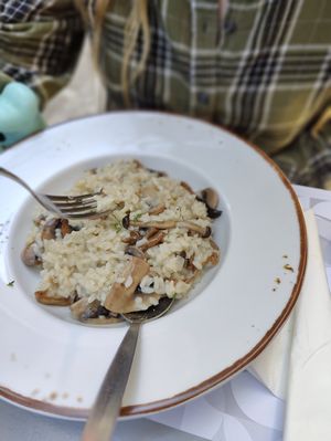Mushroom risotto at Kappos Etsi in Aegina