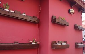 Some nice planting in the courtyard area. at Kappos Etsi in Aegina